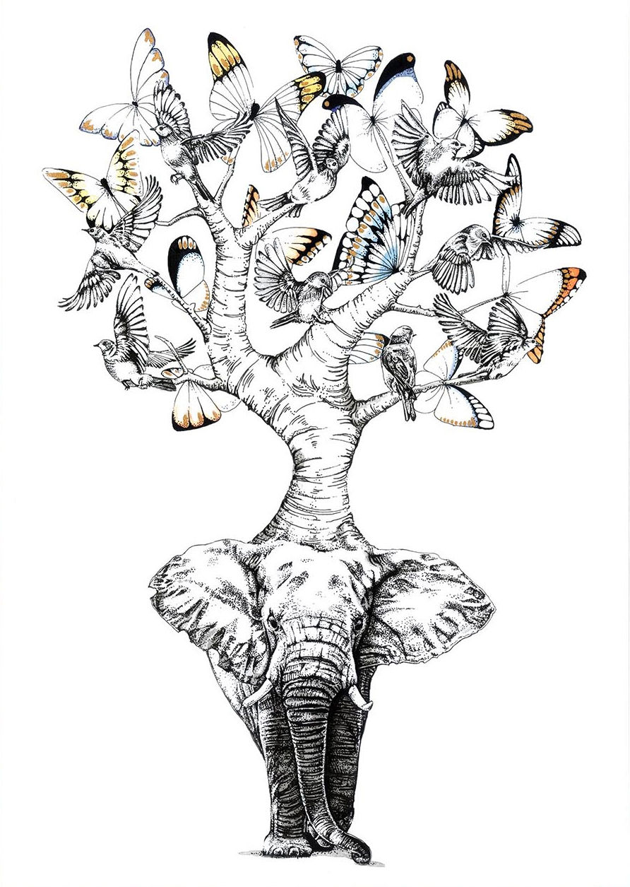 892x1255 Buy Elephant Trunk - Elephant Trunk Drawing