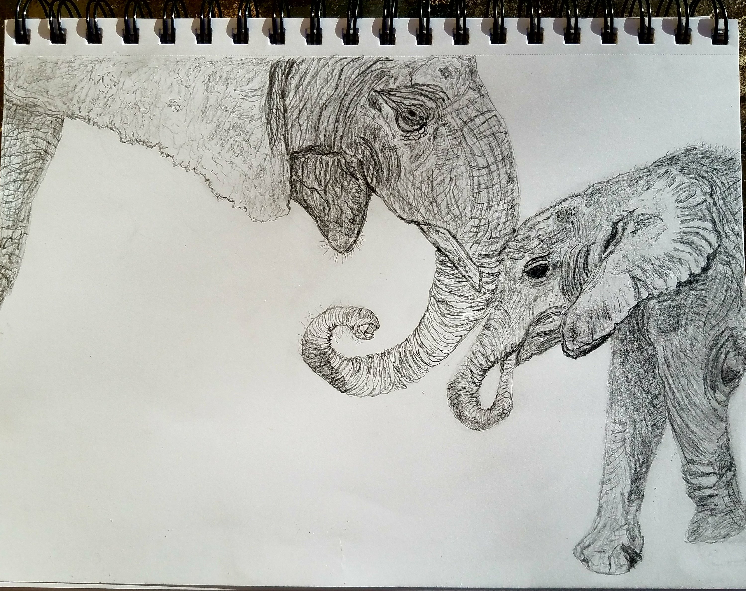 3000x2377 elephant love baby and mama patsy's creative corner - Elephants In Love Drawing