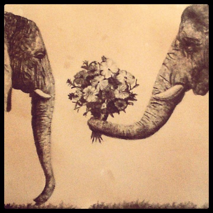 720x720 Elephant Drawing - Elephants In Love Drawing