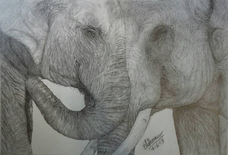770x523 elephants love drawing - Elephants In Love Drawing
