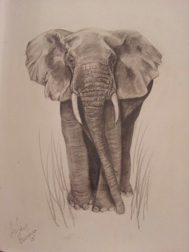 612x816 i love drawing elephants elephant love love drawings - Elephants In Love Drawing