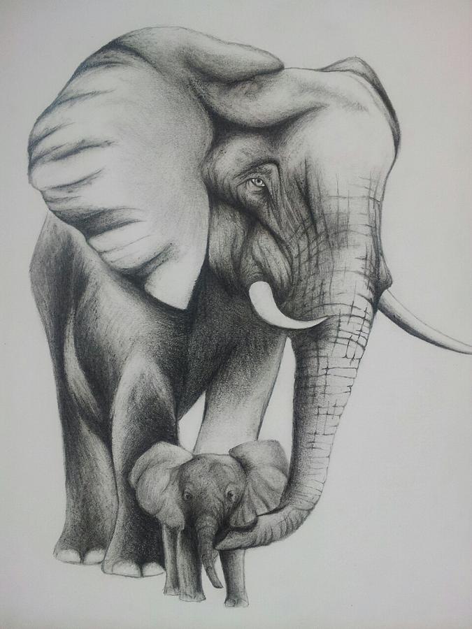 675x900 Mother's Love Drawing - Elephants In Love Drawing
