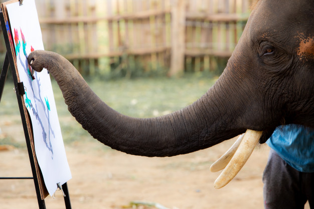 626x417 thai elephants love drawing photo premium download - Elephants In Love Drawing