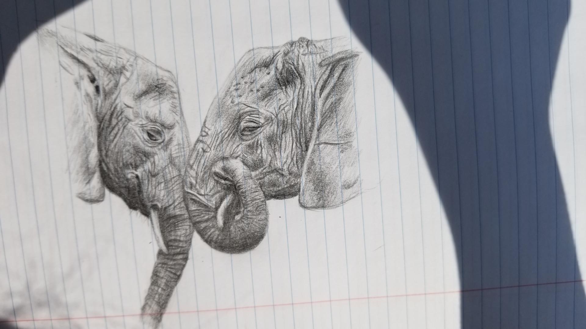 1920x1080 there's just something about elephants i love drawing them! this - Elephants In Love Drawing