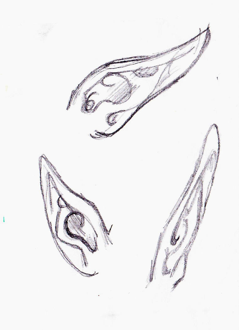 Elf Ears Drawing at PaintingValley.com | Explore collection of Elf Ears