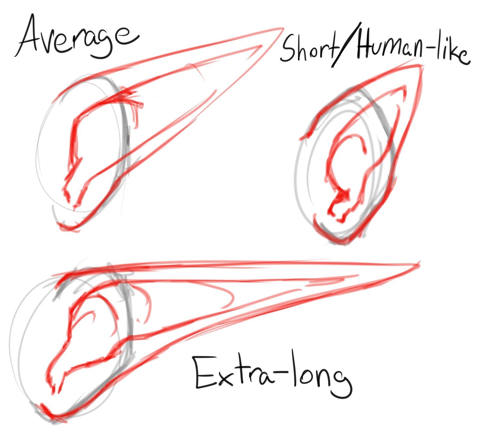 1600x1439 Elf Ears Drawing - Elf Ears Drawing