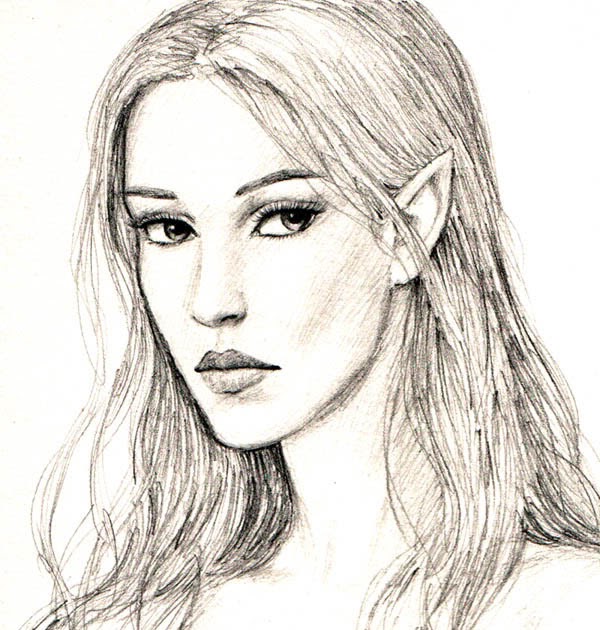 600x630 The Metaplane Elf Girl - Elf Face Drawing