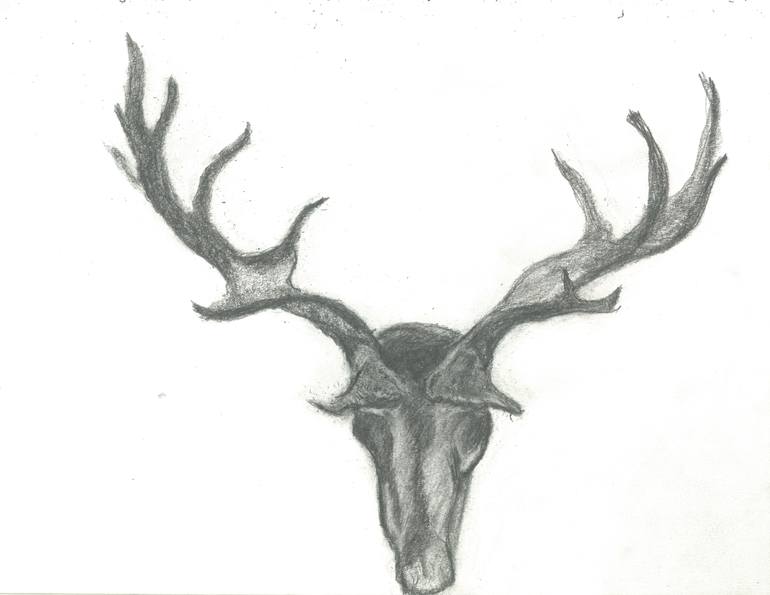 Elk Antler Drawing at Explore collection of Elk