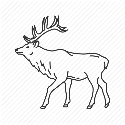 512x512 collection of free antler drawing download on ui ex - Elk Antler Drawing