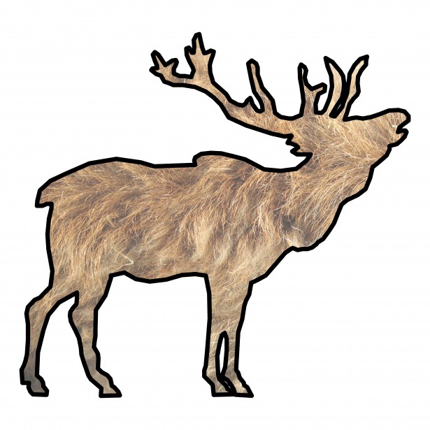 615x615 elk drawing free stock photo - Elk Drawing
