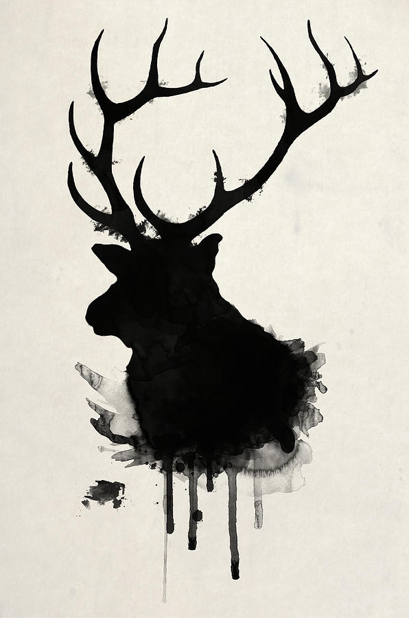 596x900 elk drawing - Elk Drawing