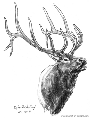 Elk Drawing at PaintingValley.com | Explore collection of Elk Drawing