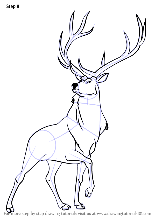 598x844 learn how to draw the elk from fantasia - Elk Drawing