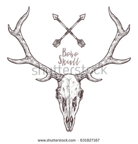 450x470 Drawn Elk Skull - Elk Head Drawing
