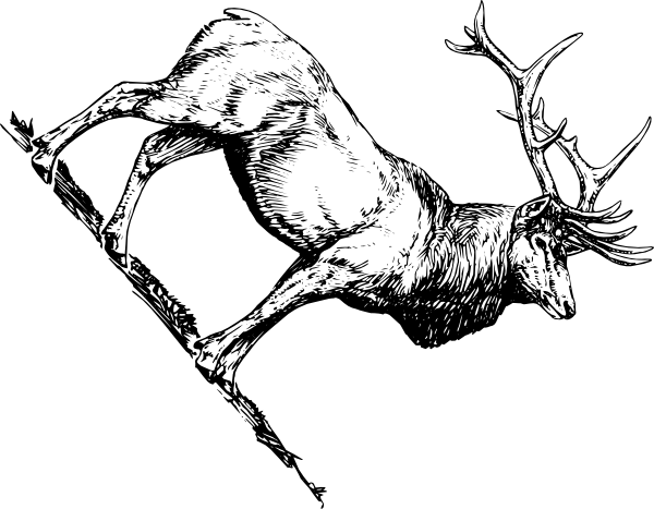 600x467 Elk Head Clip Art - Elk Head Drawing