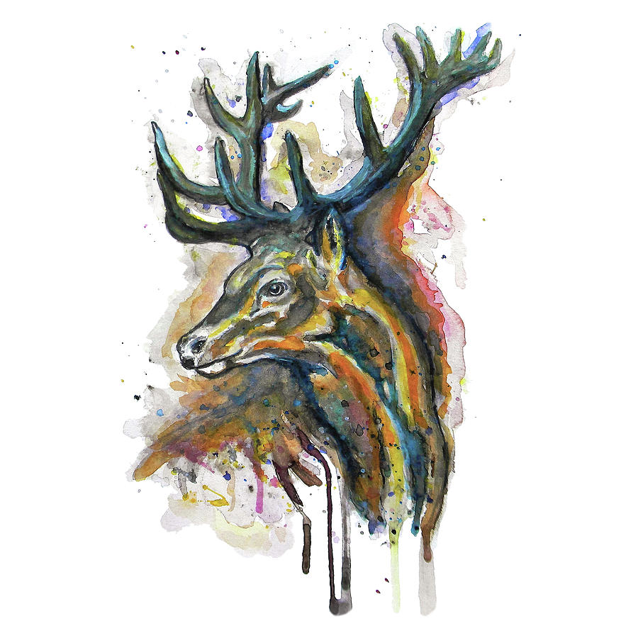 900x900 Elk Head Painting - Elk Head Drawing