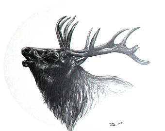 340x270 Elk Drawing Etsy - Elk Head Drawing