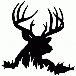 300x300 Hand Drawing Style Of Deer Head Vector Sohadacouri - Elk Head Drawing