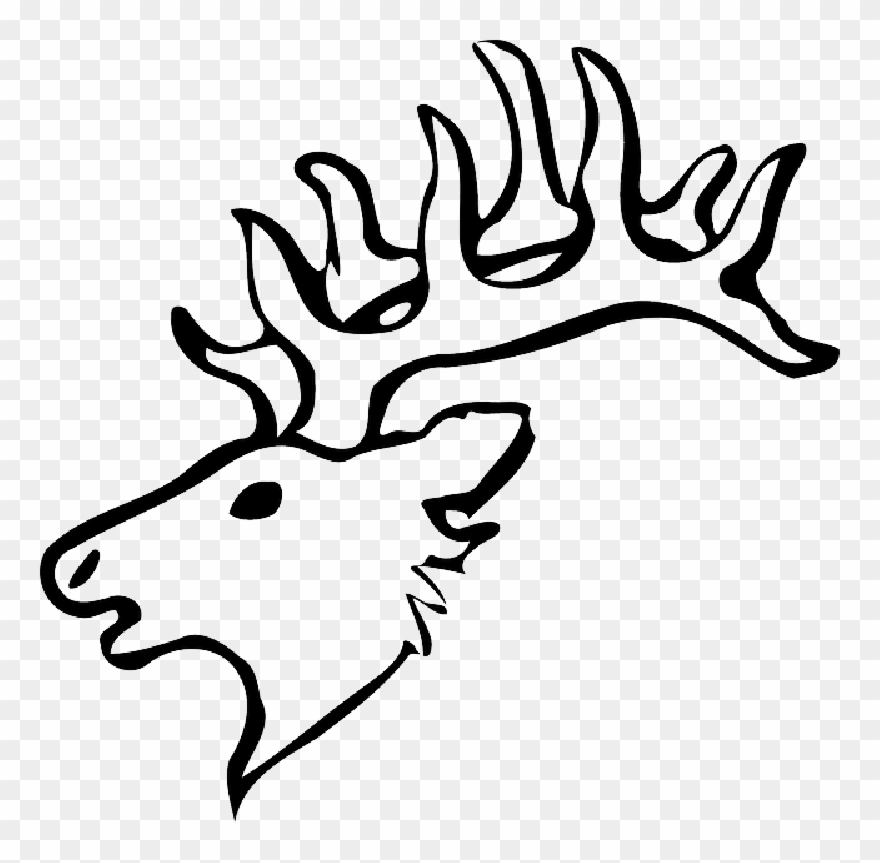 880x863 head, silhouette, face, skull, cartoon, deer, heads - Elk Head Drawing