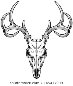 239x280 Huge Collection Of 'elk Skull Silhouette' Download More Than - Elk Head Drawing