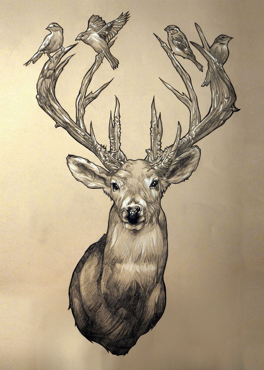 1024x1434 Elk Head - Elk Head Drawing