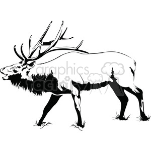 300x300 Drawn Elk Side Profile - Elk Line Drawing