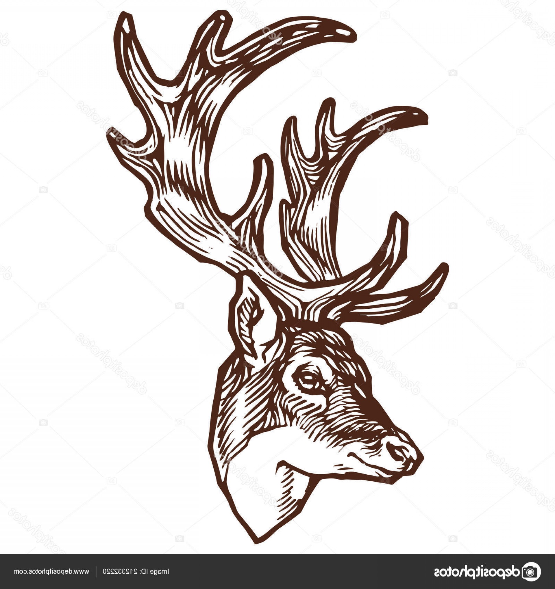 1920x2040 elk antler vector art sohadacouri - Elk Line Drawing