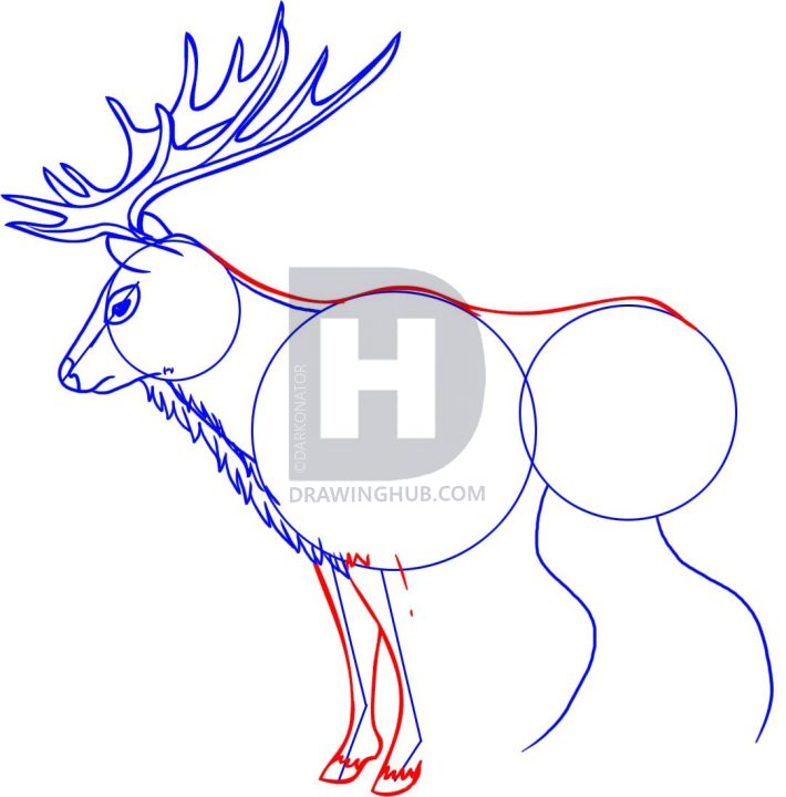 710x720 How To Draw An Elk, Step - Elk Line Drawing