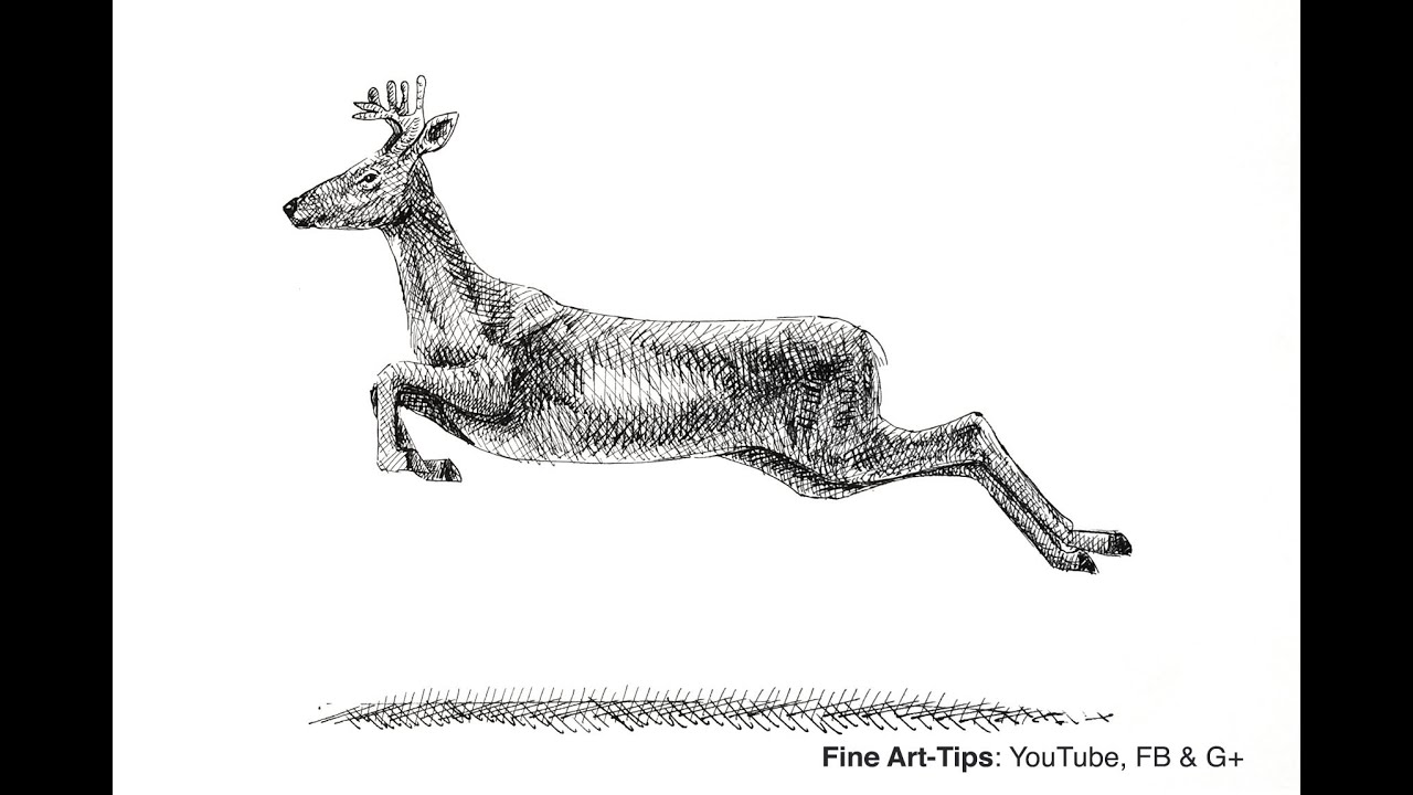 1280x720 How To Draw A Deer - Elk Line Drawing