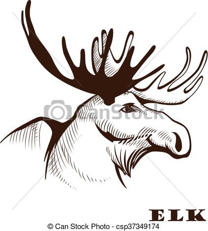 423x470 moose or eurasian elk vector illustration hand drawn elk moose head - Elk Line Drawing