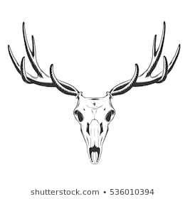 Elk Line Drawing at PaintingValley.com | Explore collection of Elk Line ...
