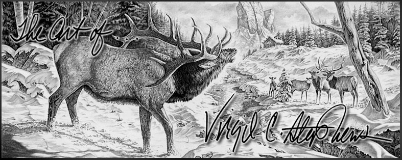787x314 wildlife pencil drawings of elk, deer, antelope, bear, raccoons - Elk Pencil Drawings
