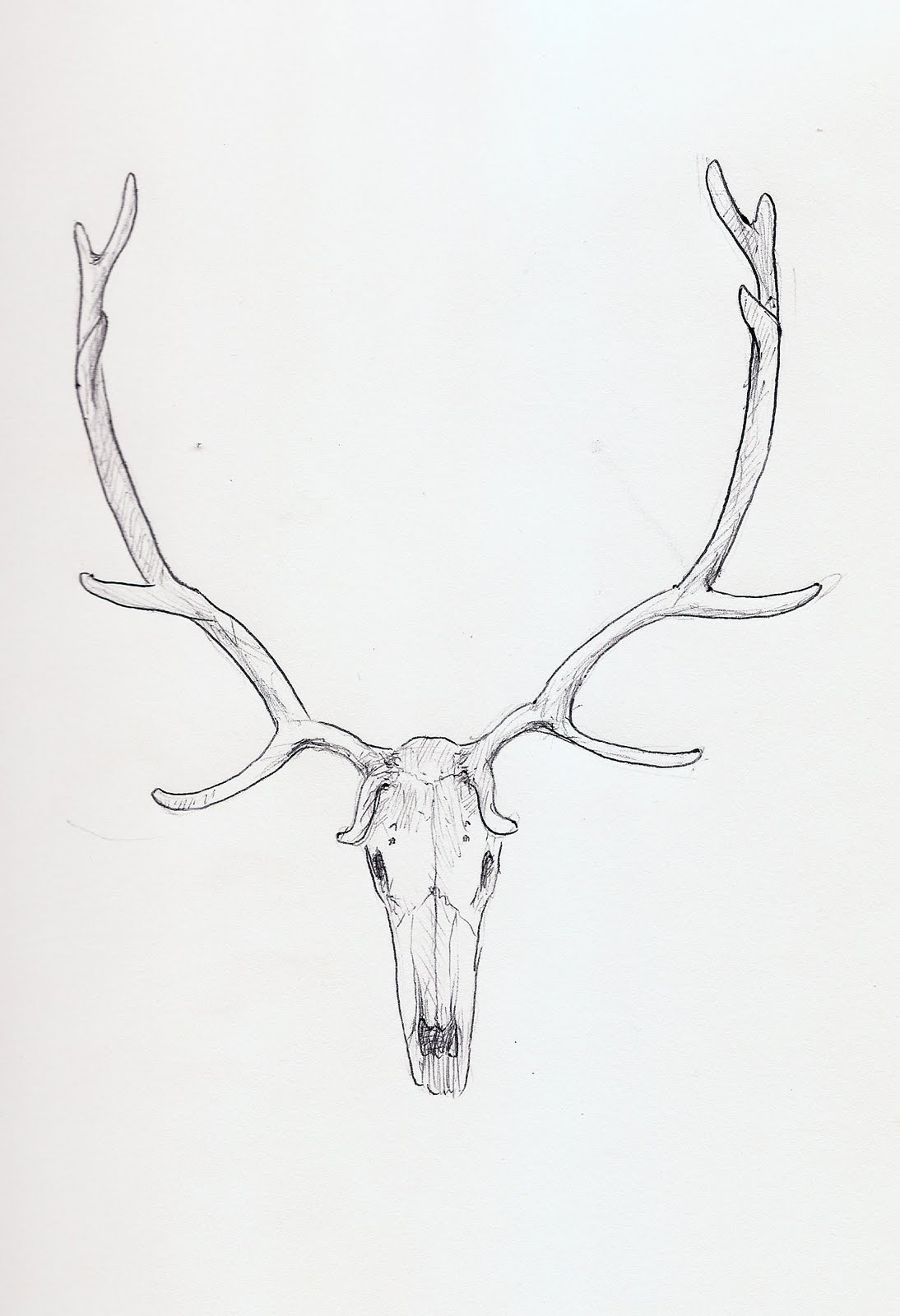 1094x1600 Elk Skull Drawing Giftsforsubs - Elk Skull Drawing