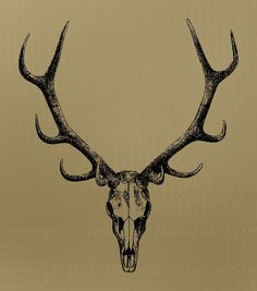 236x267 elk skull tattoos elk skull tattoos elk skull tattoo, tatts - Elk Skull Drawing