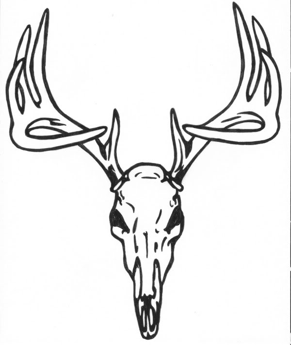 600x711 Elk Skull Clipart Collection - Elk Skull Drawing