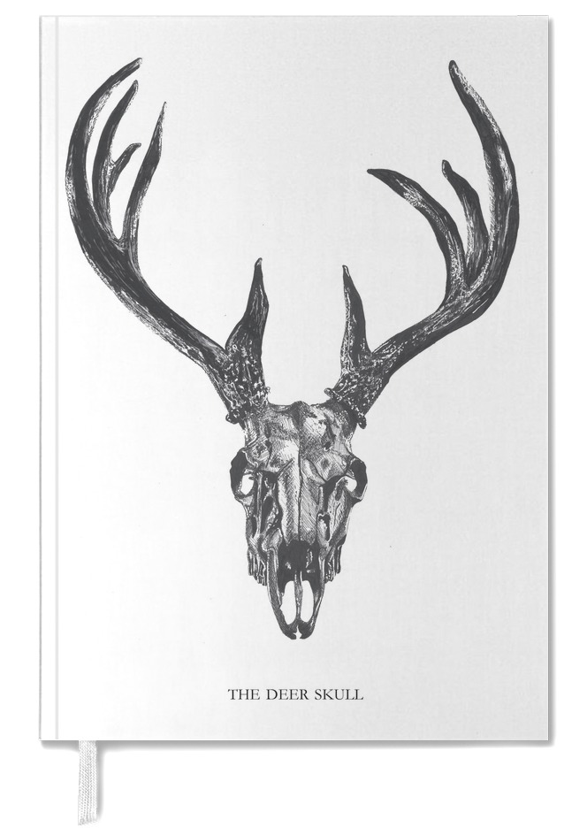 664x944 The Deer Skull As Postcard Set - Elk Skull Drawing