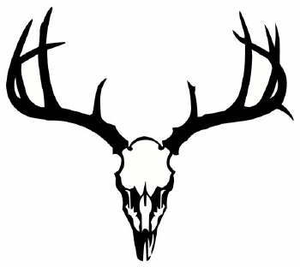 300x267 Deer Skull Free Images - Elk Skull Drawing