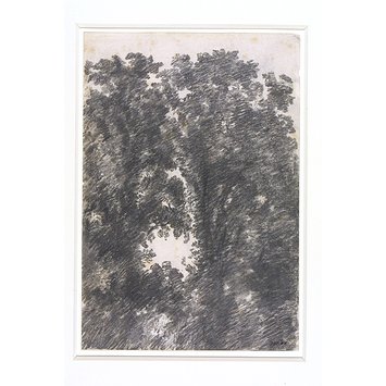 355x355 Elm Trees John Constable Vampa Search The Collections - Elm Tree Drawing