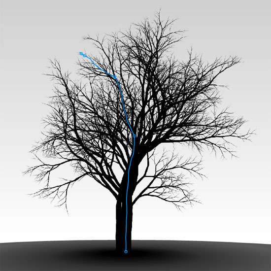 Elm Tree Drawing at Explore collection of Elm Tree