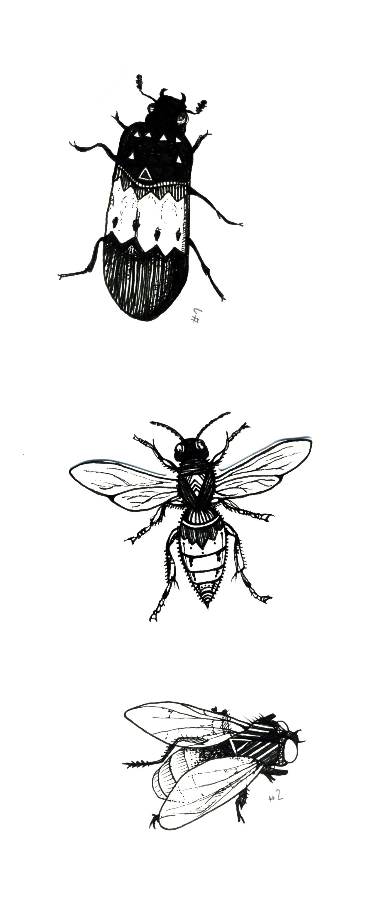 1248x3103 Insects - Elsa Drawing Outline