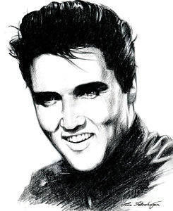 245x300 Elvis Presley Drawings Fine Art America - Elvis Drawing