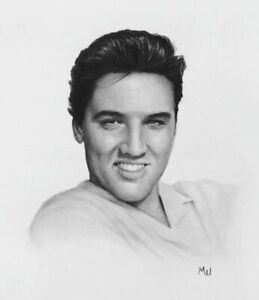 259x300 Elvis Presley Original Portrait Artwork - Elvis Drawing