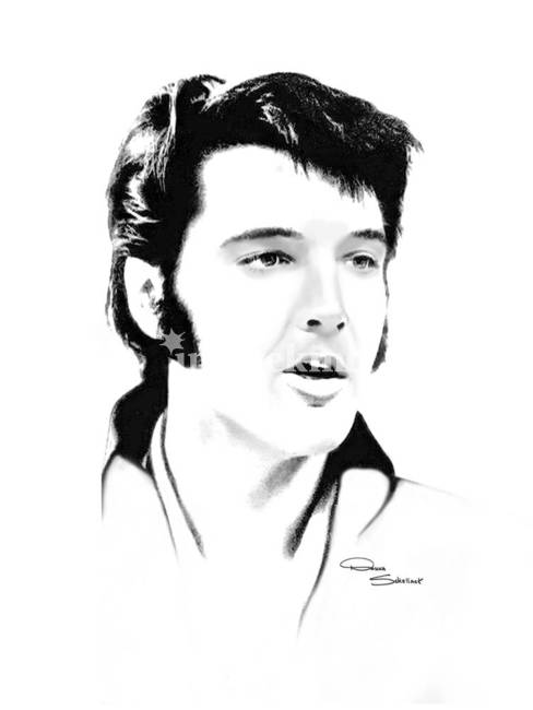 488x650 Elvis - Elvis Drawing