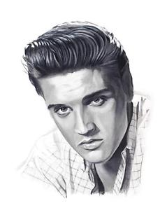 239x300 Elvis Presley Original Art Pencil Portrait Artwork King - Elvis Presley Line Drawing