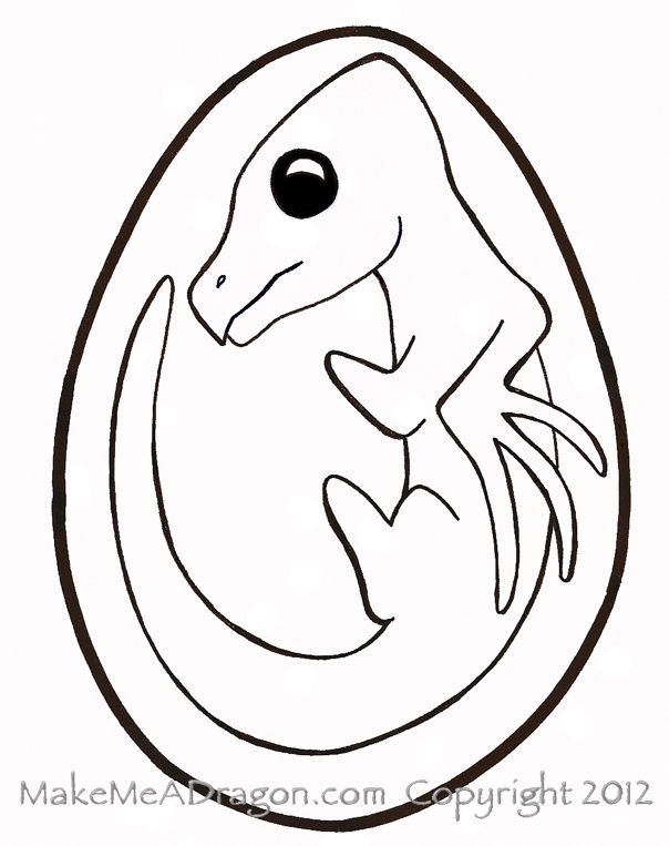 604x763 dragon embryo make me a dragon drawing base, dragon, draw - Embryo Drawing