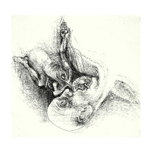 300x300 embryo drawing - Embryo Drawing