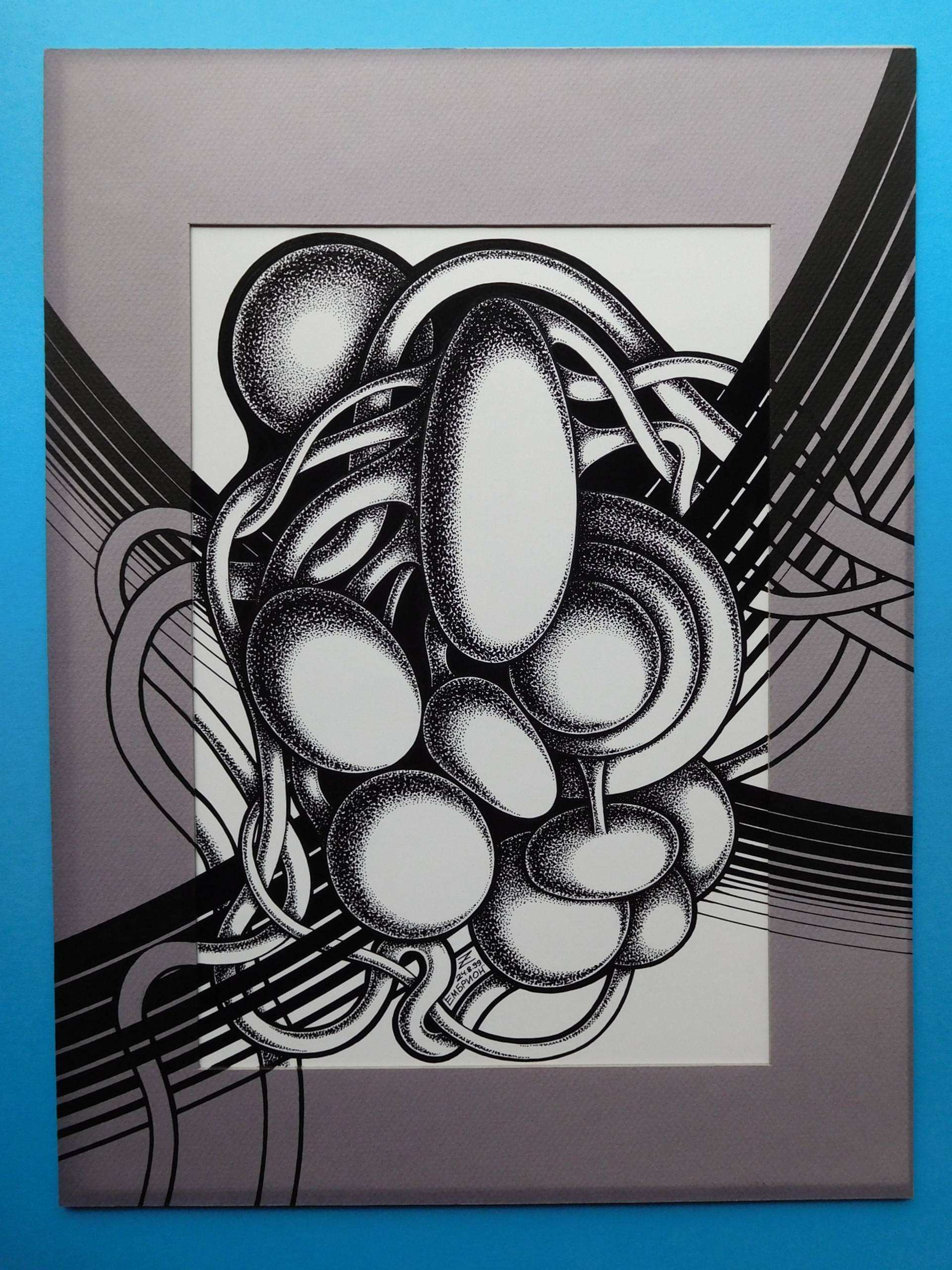 1920x2560 embryo drawing - Embryo Drawing