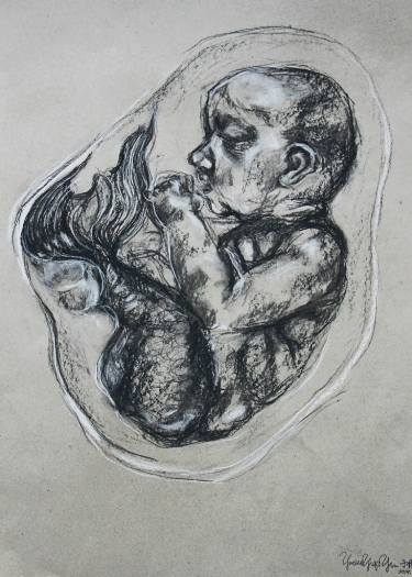 375x525 merman embryo drawing - Embryo Drawing