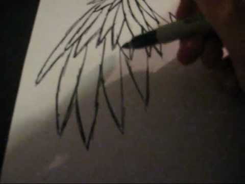 480x360 How I Draw Emo Angel Wings - Emo Angel Drawing