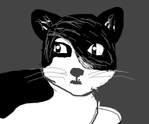 300x250 Emo Cat Drawing - Emo Cat Drawing